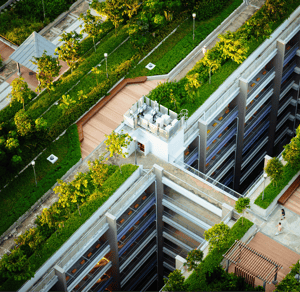 chuttersnap-nXJyZLBnyUQ-unsplash (1) 1 (3)